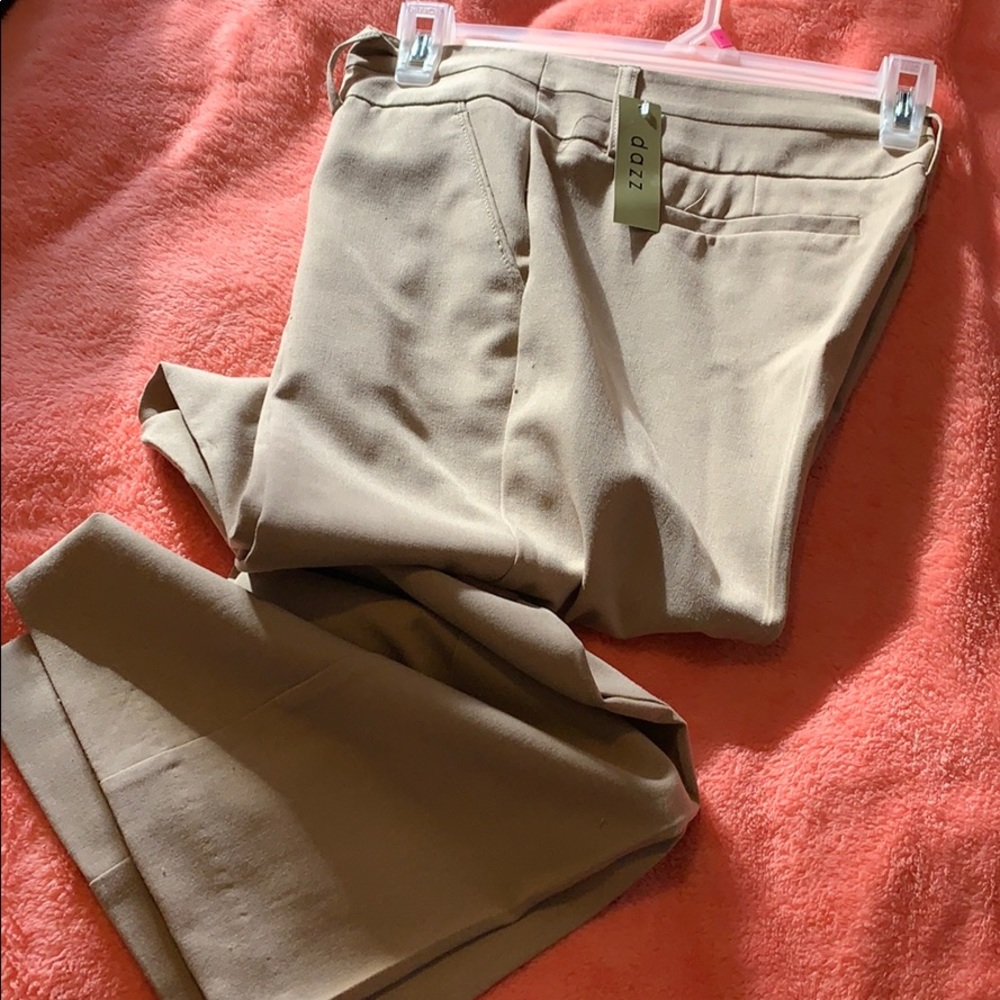 Polyester pant